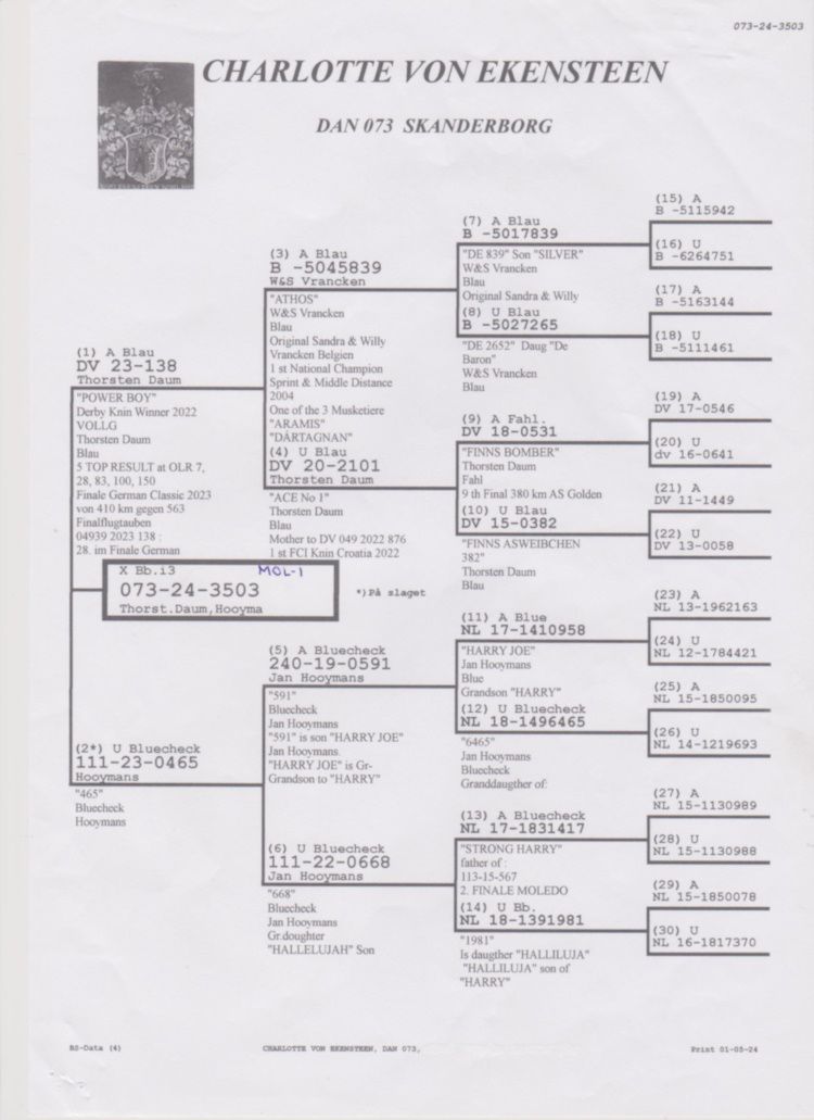Imagem 2