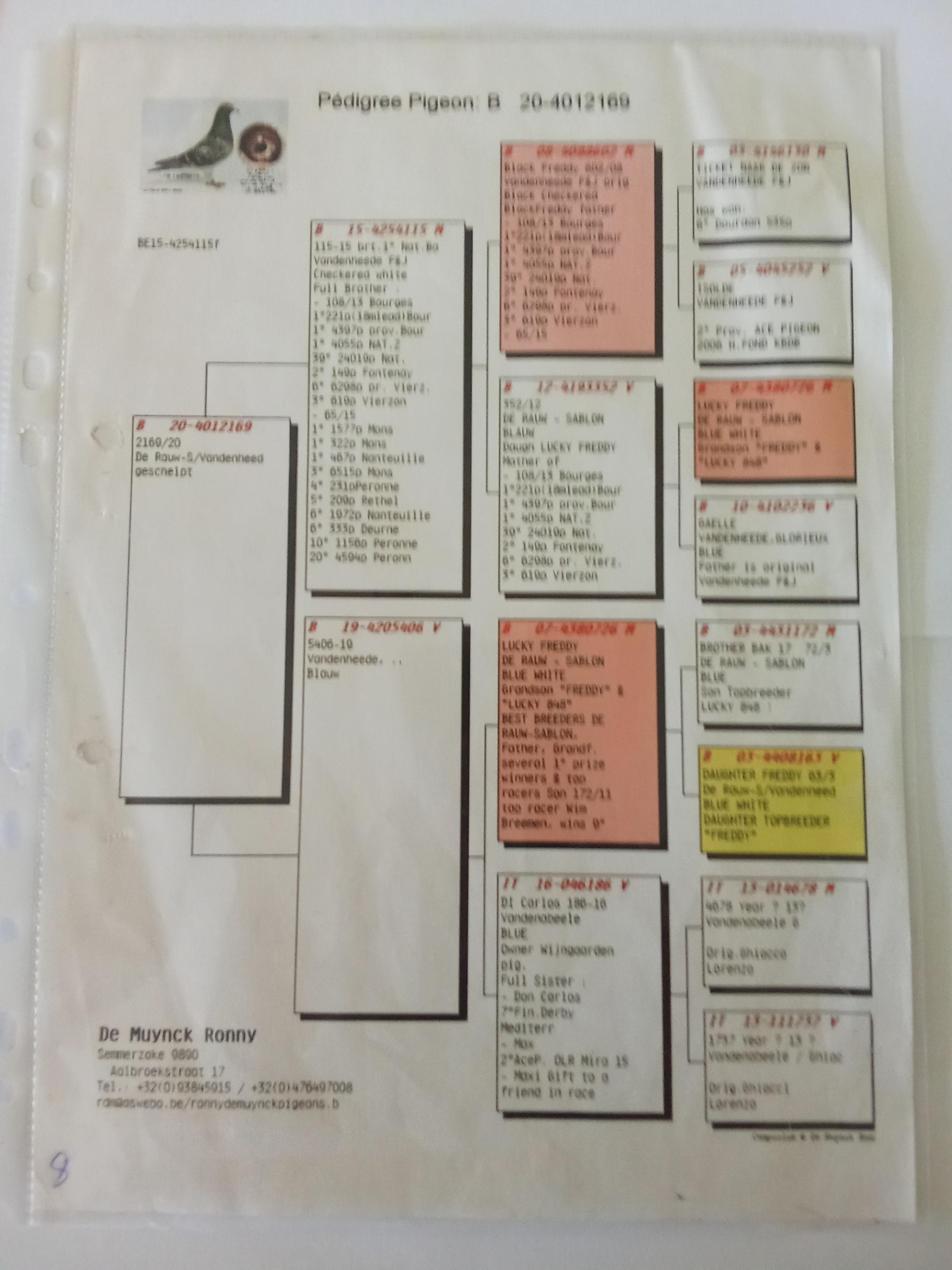 Imagem 2